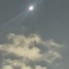 mikeliterice28