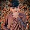 hafez.abrar1