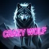 team_crazywolf54