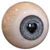.hello_ki11y