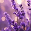 user9030096198425