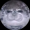 tealtheseal1