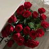 user2605549814177