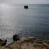 kan_29_29