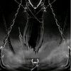 demon65892