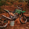 mexrc100