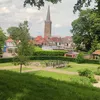 .koning2
