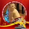huy.hong.gia03