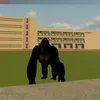 jesus_kuertov