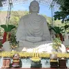 mong.manh453
