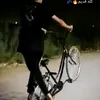 z_bi_h3
