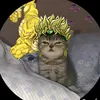 catmeme065