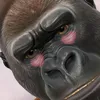 soicaidaubuoidit