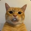 abduldelex2x