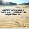 halihousangare940