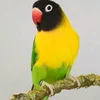 user6611001019411