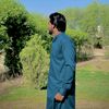 muhammadjavaid6940