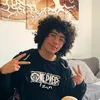 gekko_xn