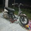 siiijagur