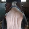 nurcsjeerle