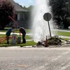 c_dservices_llc