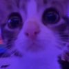 lukka_lukito
