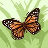 noor.ali.mohamed2
