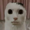 hxmelorr