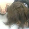 dea3giosbdi