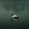 zero_473689