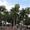 user432177115