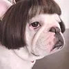 alicederoziey