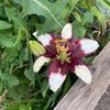 ttsfinds5