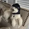 BetaClipsTv • Follows You
