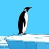 paradoxpanguin