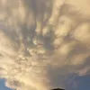 ivana.celeste13