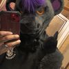 lucienthekixxer