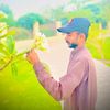 tofailahmed.brohi