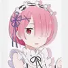 ram_289