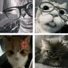 uno_official099