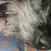 flori1panchi2nicki3