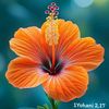 julietw106