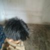 rehan.aj28