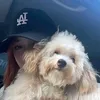 stephaniezapanta