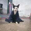 tirta.kurniawan47
