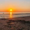 lynn023376