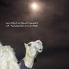 f_qoa0