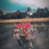 abir.abir8935