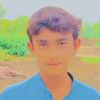 user84332416799974