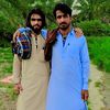 haroon_askani2966
